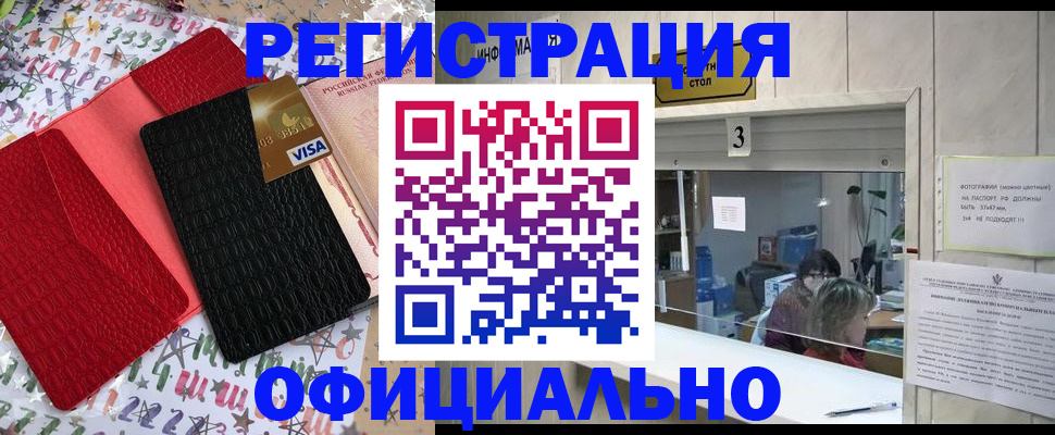 временная регистрация поиск в Светлогорске